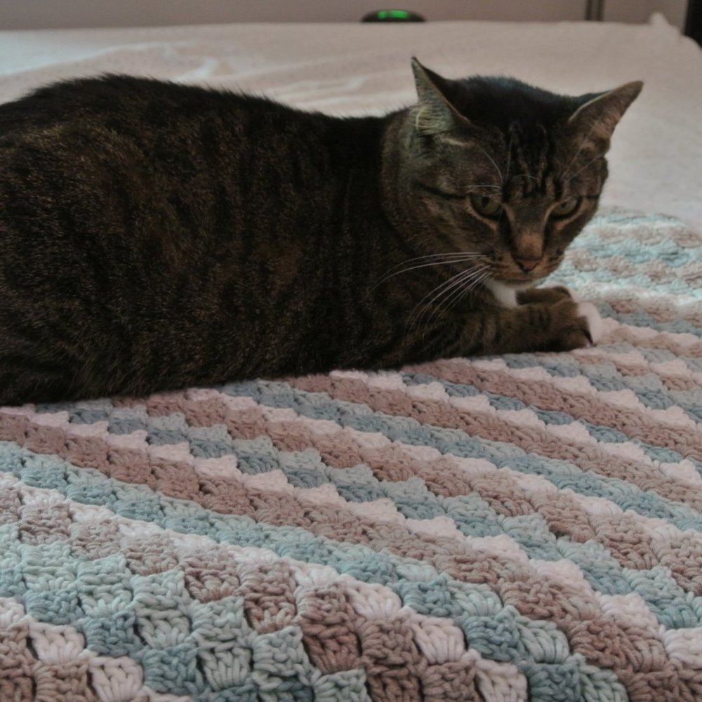 Crochet Blanket - Picture 4 of 5